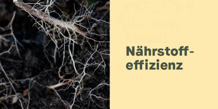 Modul_Naehrstoffeffizienz