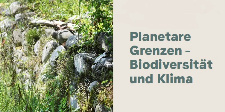 Modul_Planetare_Grenzen