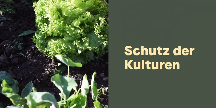 Modul_Schutz_der_Kulturen