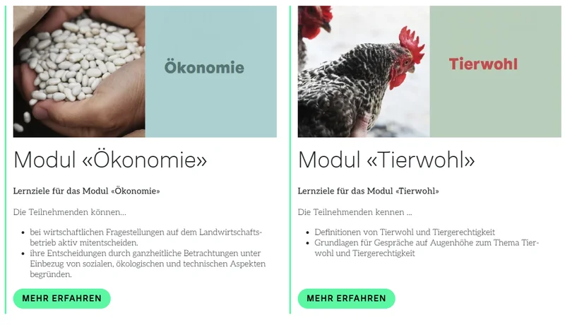 Module Bildungsprojekt