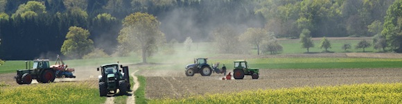 Agrarpolitik 22+: Bundesrat signalisiert Offenheit für Verbesserungen bei den Umweltdefiziten