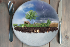 Klimastrategie Landwirtschaft & Ernährung