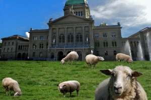 Trauerspiel im Ständerat: Verlogene Scheinlösung zur zukünftigen Agrarpolitik dank massivem CVP-Engagement