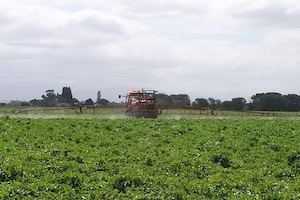 Verbot des Pestizides Chlorothalonil durch Agrochemiefirmen blockiert