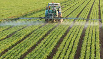 Schweizer Obst und Gemüse stärker pestizidbelastet als Importe aus der EU