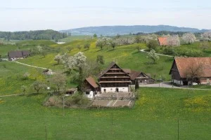 Bauernhof_300_200