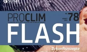 Flash_300_200