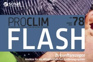 Flash_300_200