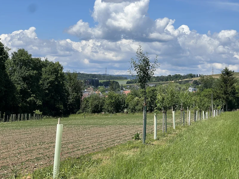 Agroforst
