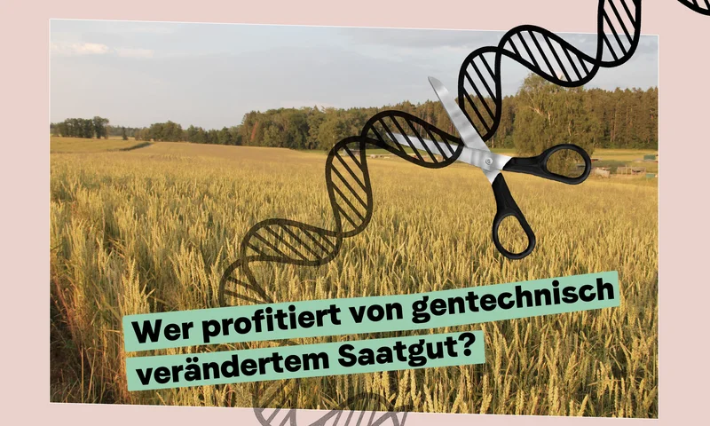 Kollage_Newsletter_2603_Header Newsletter