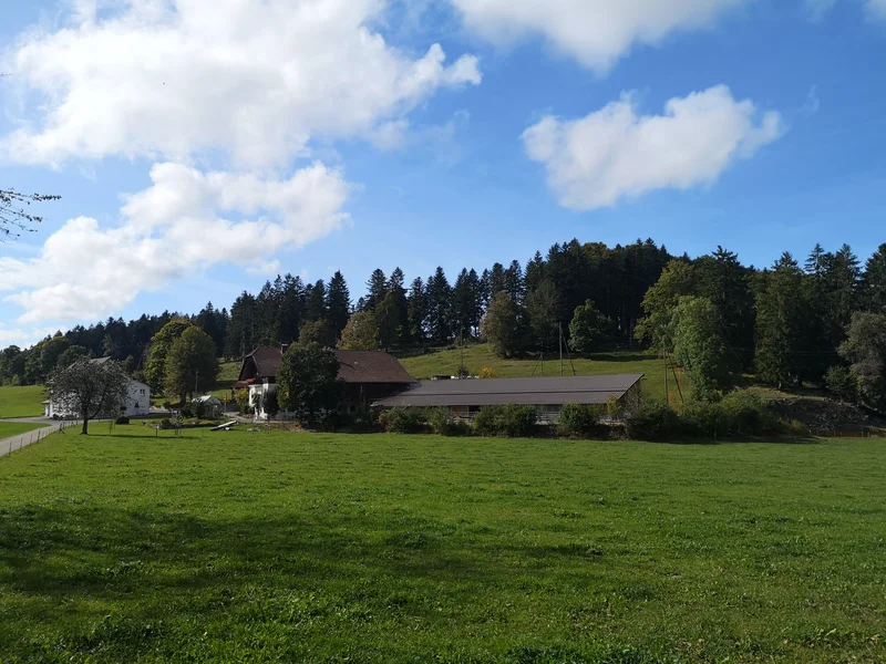 Laufstall_Corgemont_Front