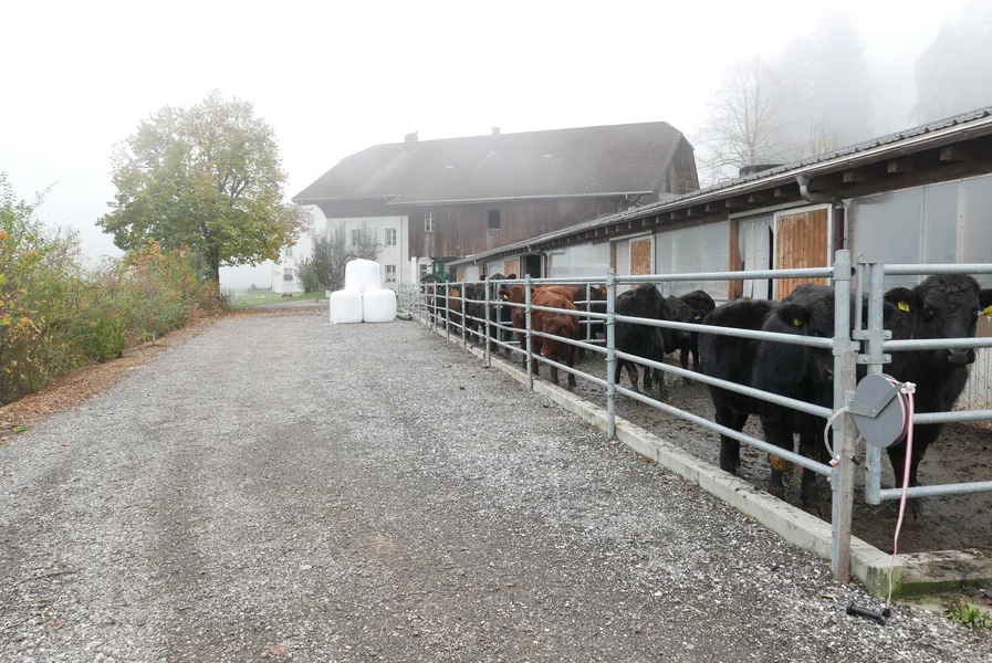 Laufstall_Corgemont_Seitenansicht