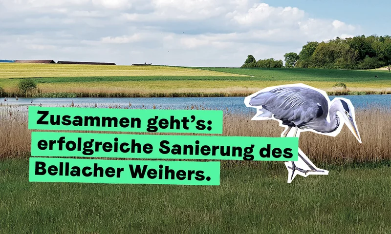 Newsletter_Bellacher_Weiher