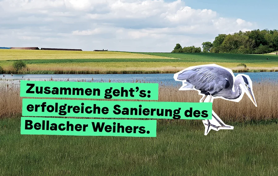 Newsletter_Bellacher_Weiher