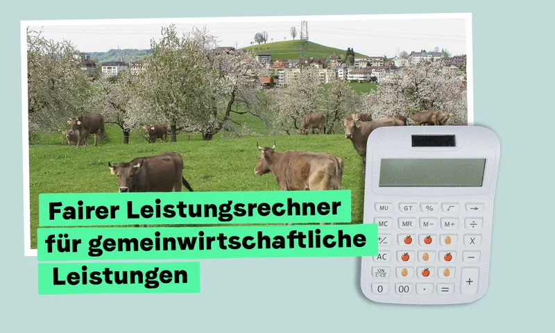 Newsletter_Hochstammobst_DE