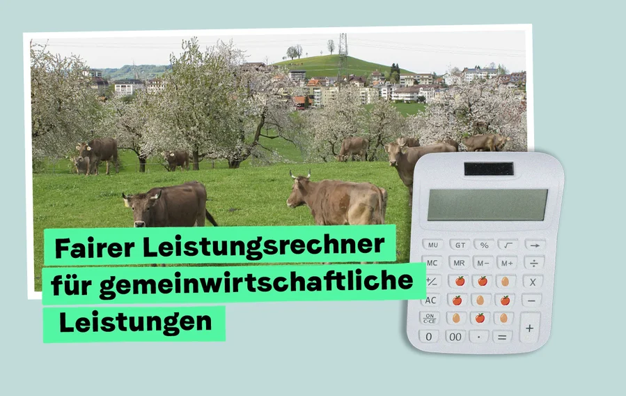 Newsletter_Hochstammobst_DE