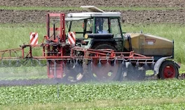 PestizideGemueseTeaser