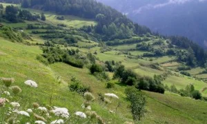 Ramosch_3_Markus_Jenny_300_200