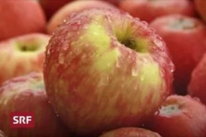 SRF_Apfel_300_200