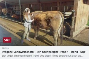 SRF_Trend_300_200