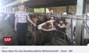 SRF_Trend_Milch_300_200