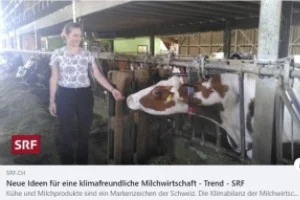SRF_Trend_Milch_300_200
