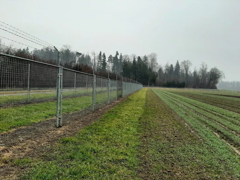 Um die Zerstörung der Versuche durch Vandalenakte zu verhindern, wurde ein geschützter Versuchsstandort, eine Protected Site, eingerichtet.