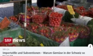VisionLandwirtschaft-SRF_Wirtschaftlickeit_300_200