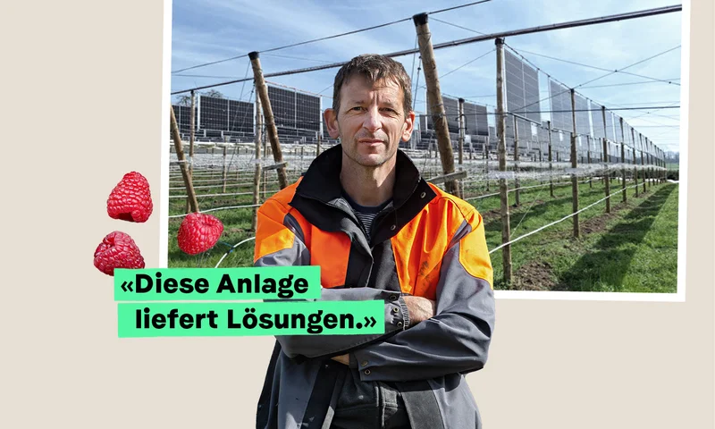 VisionLandwirtschaft-AgriPV