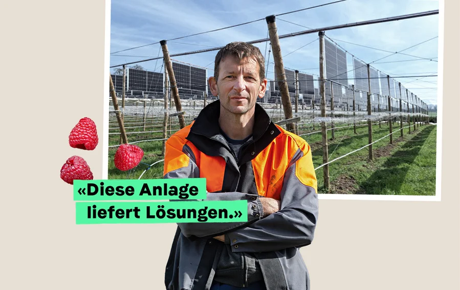 VisionLandwirtschaft-AgriPV
