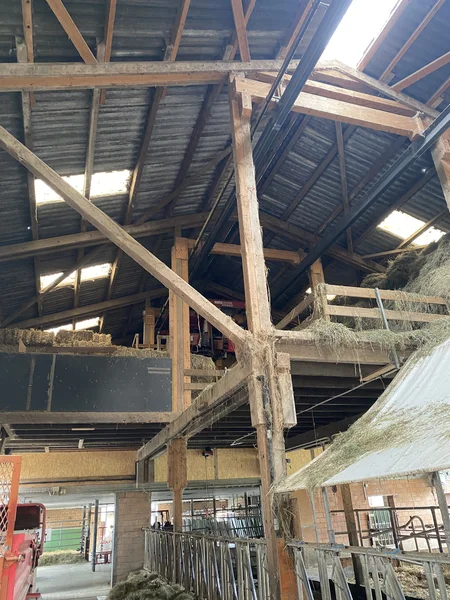 Vollweide-Milchwirtschaftsbetrieb Seon AG_Nahansicht