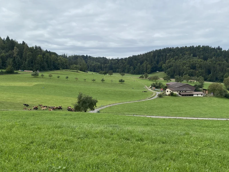 Vollweide-Milchwirtschaftsbetrieb Seon, AG