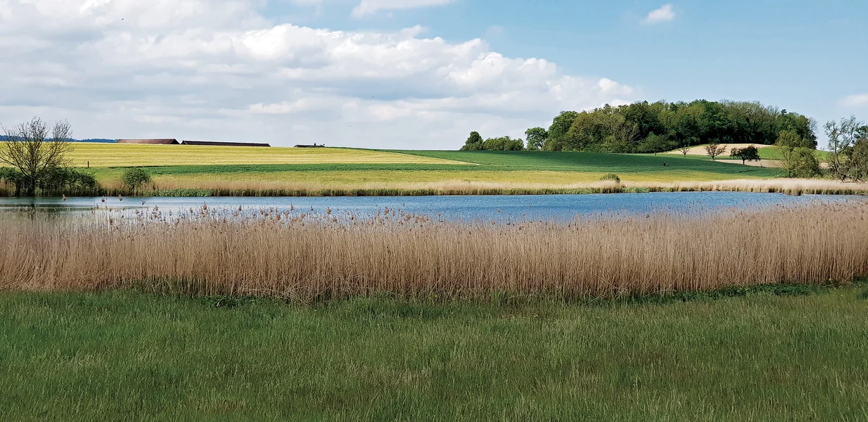 bellacher-weiher_be