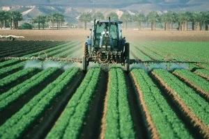 farmer_300_200