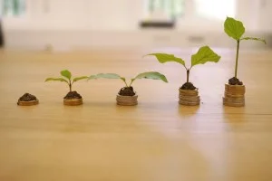 growth_300_200