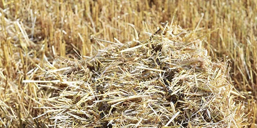 visionlandwirtschaft-heu-bio