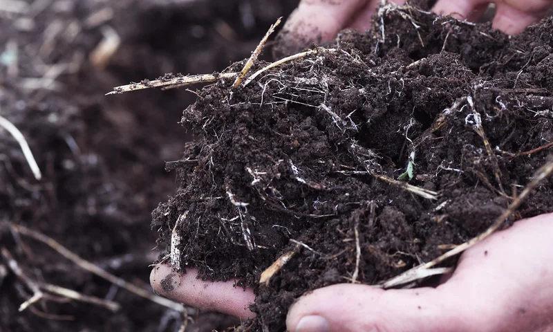visionlandwirtschaft-landwirtschaft-regenerative-boeden-erde-soil
