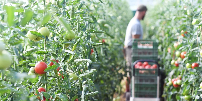 visionlandwirtschaft-kleinraeumige-betriebe