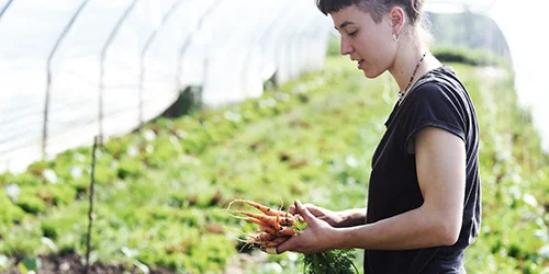 visionlandwirtschaft-frauen-bio