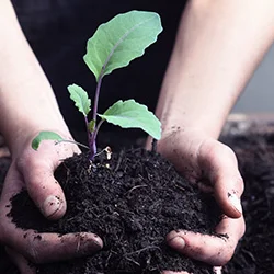 visionlandwirtschaft-biogarten-lieli-wachstum-gesunde-boeden