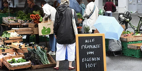 visionlandwirtschaft-gemuese-bio-markt