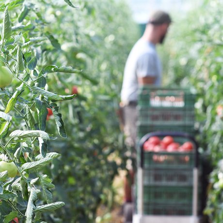 visionlandwirtschaft-kleinraeumige-betriebe