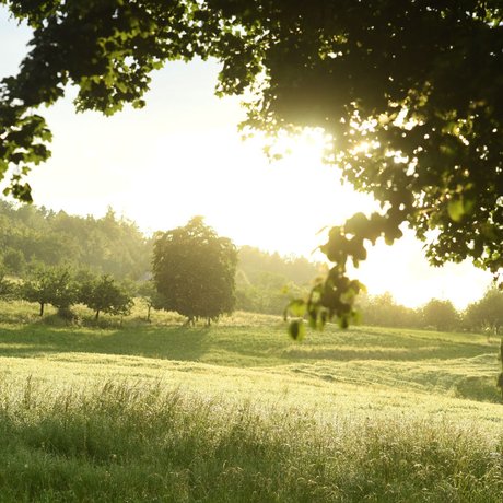 visionlandwirtschaft-landschaften-raumplanung