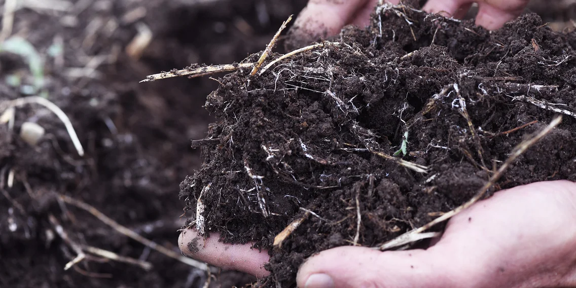 visionlandwirtschaft-landwirtschaft-regenerative-boeden-erde-soil