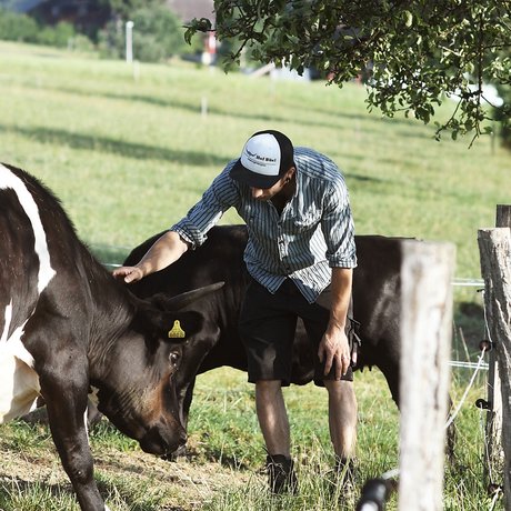 visionlandwirtschaft-landwirtschaft-milch-wirtschaft