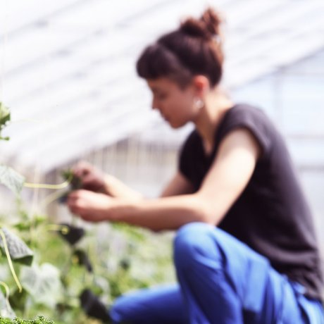 visionlandwirtschaft-landwirtschaft-biogarten-lieli