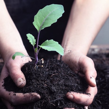 visionlandwirtschaft-landwirtschaft-wachstum-vision